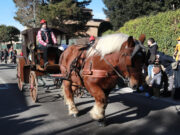 Taradell converteix la festa dels Tonis en un “gran museu viu” del patrimoni rural