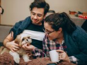 Andalusia reconeix la despesa veterinària a la Renda: coneix el mapa de deduccions a altres comunitats