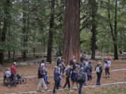 Noves rutes teatralitzades inclusives fusionen natura i arts escèniques a la Xarxa de Parcs Naturals