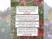 “La pedregada ho ha arrasat tot”: Tulipmania perd el 80% de la floració en poques hores