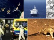 L’alerta sanitària del MV Hondius posa en risc la reputació turística de Canàries
