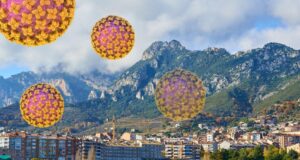 El brot de hantavirus a Catalunya que va causar alarmes fa dos anys