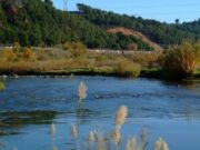 Tragèdia al Berguedà: mor ofegat un jove de 18 anys mentre es banyava a l’Ametlla de Merola