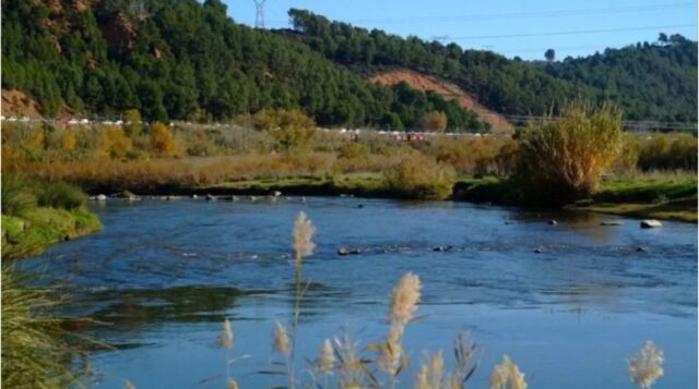 Riu Llobregat. Foto: Europa Press