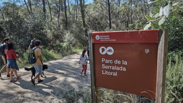 noticia_1782220661.jpg