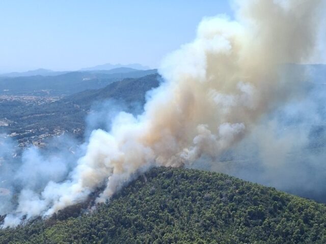 noticia_1783355619.jpg