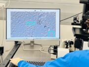 IVI Barcelona investiga una nova tecnologia per millorar els diagnòstics d’azoospèrmia